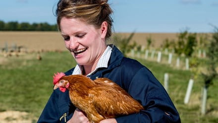 Tesco announces further assistance of over £14 million for the British egg business.
