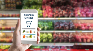 India Online Grocery Market 2023 Expected to See Record-Breaking Revenue Growth in the Upcoming Years