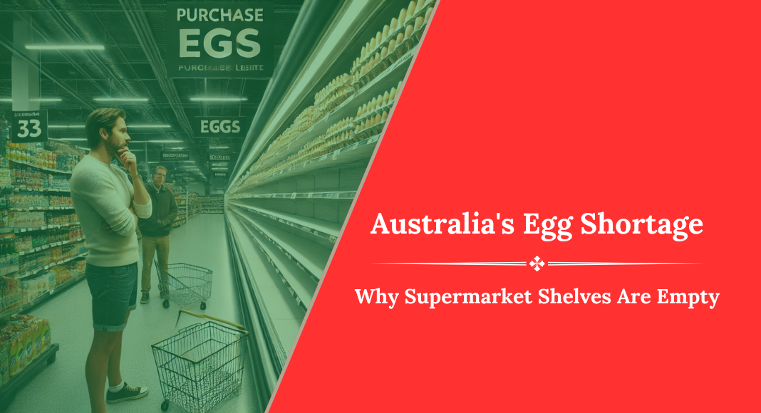 Australia’s Egg Shortage Why Supermarket Shelves Are Empty